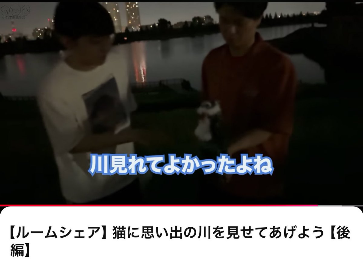 ぱんぱんだ🐼取引垢 (@ppanda_888) / Posts / X