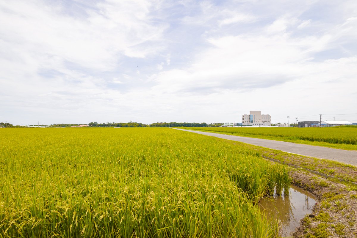 tonakai's tweet image. いわきの海と、いわきの田園

#Sigma17mmF4Contemporary
#SigmaBF #SigmaIseries #PR