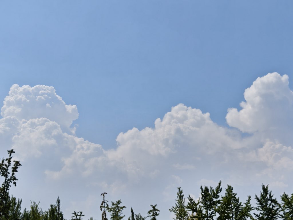 fossettevv's tweet image. 高温天气的云也很美