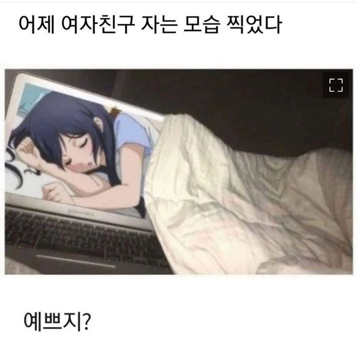 밈카이브 (@m1mchive) on Twitter photo 