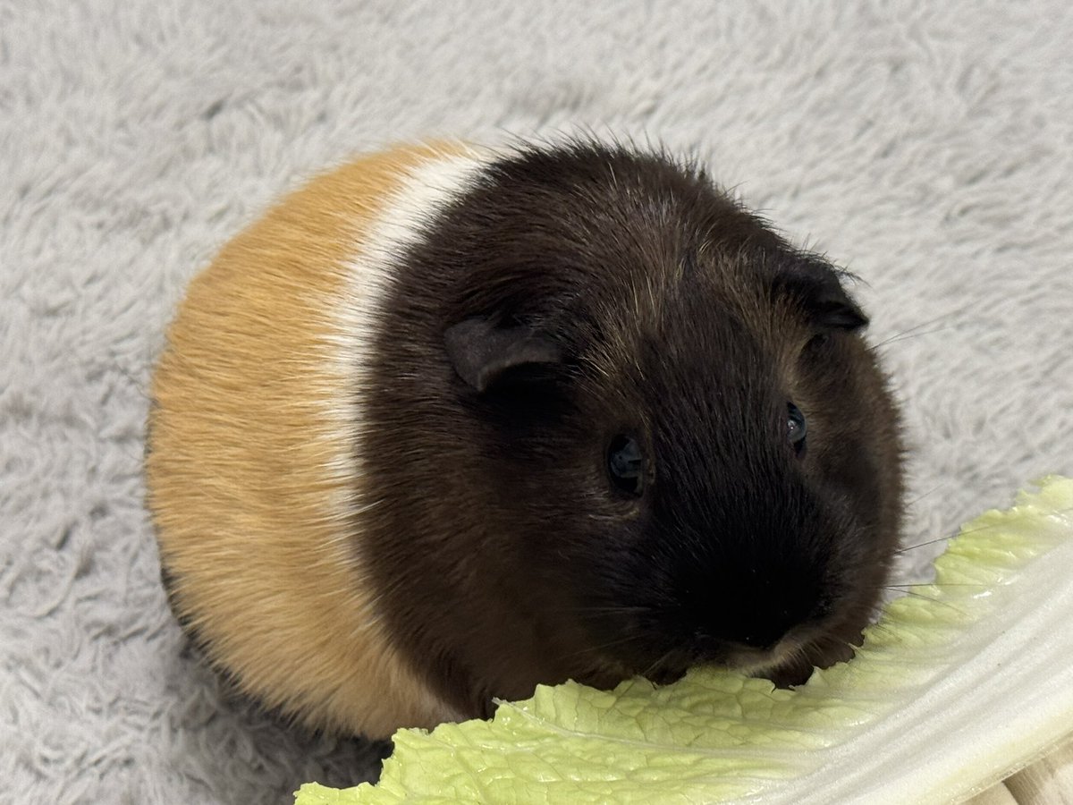 #みんなの丸も見せてほしい