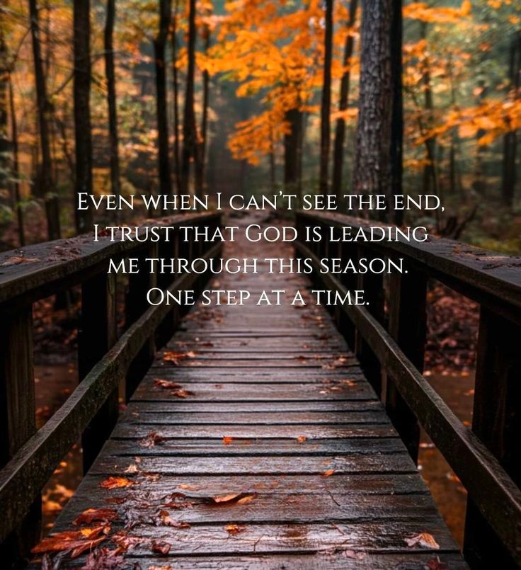 Mary Harp (@mhdeplorable) on Twitter photo 