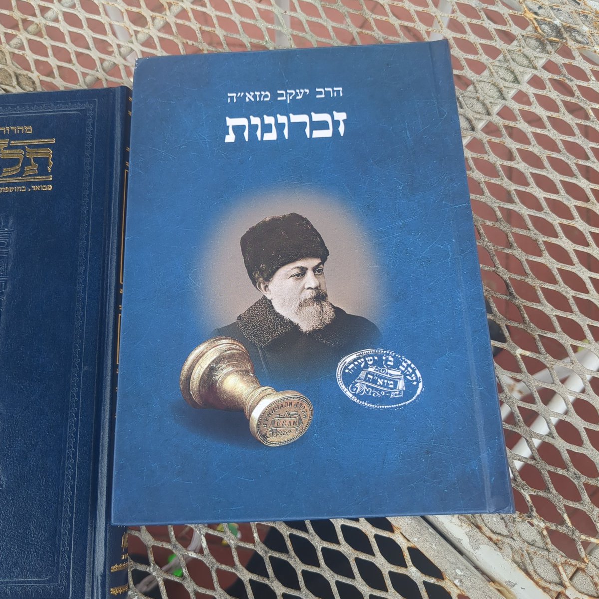 I read this over Shabbos <a href="/ShabbosReads/">I Read This Over Shabbos™️</a>
