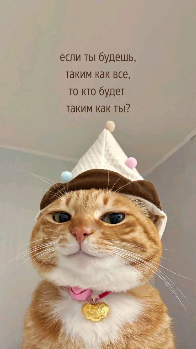 Alex Payne (@paynota) on Twitter photo 