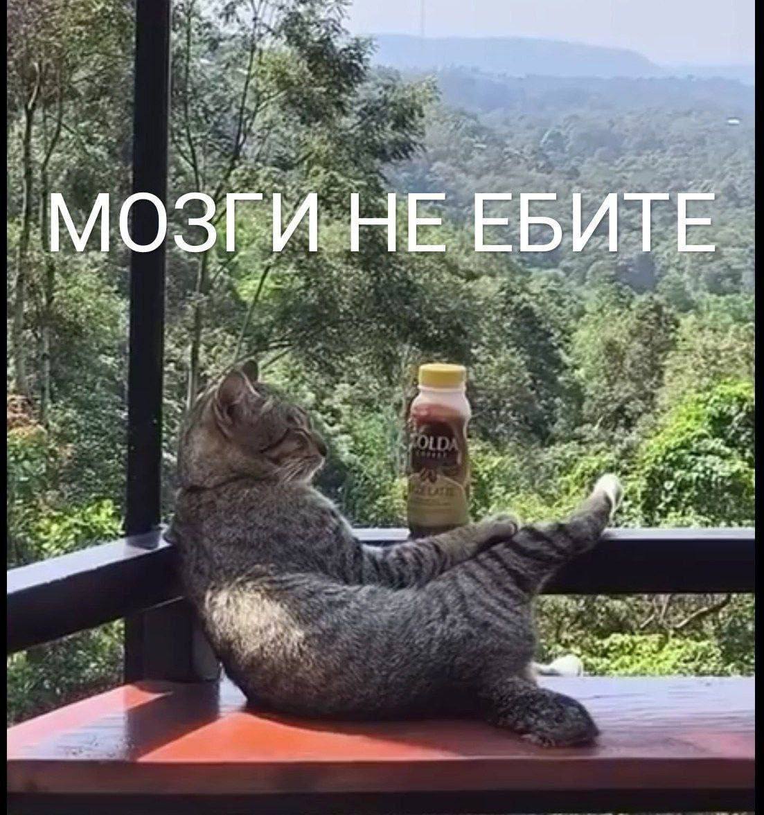 Alex Payne (@paynota) on Twitter photo 