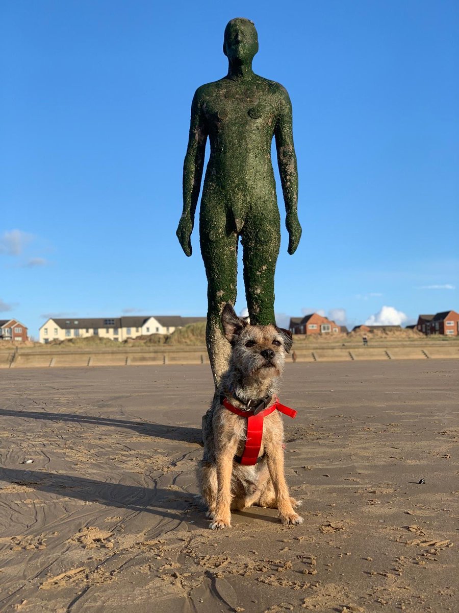 Baxter (@BaxterMr) / Posts / X