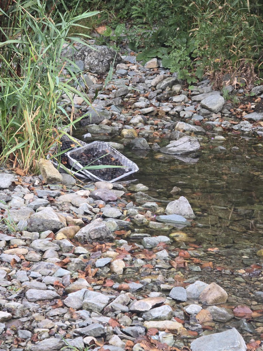 Terry Abraham FRGS (@terrybnd) on Twitter photo Well, sadly despite being out and filming the patrol with <a href="/EdenPolice/">Eden Police</a> <a href="/nationaltrust/">National Trust</a> and <a href="/lakedistrictnpa/">Lake District</a> yesterday…here’s SOME scenes locals around Ullswater woke up to early doors! 💔😡😢😢 #lakedistrict #leavenotrace #flycamping #nature What is wrong with some people??!! 😢 Well, sadly despite being out and filming the patrol with <a href="/EdenPolice/">Eden Police</a> <a href="/nationaltrust/">National Trust</a> and <a href="/lakedistrictnpa/">Lake District</a> yesterday…here’s SOME scenes locals around Ullswater woke up to early doors! 💔😡😢😢 #lakedistrict #leavenotrace #flycamping #nature What is wrong with some people??!! 😢
