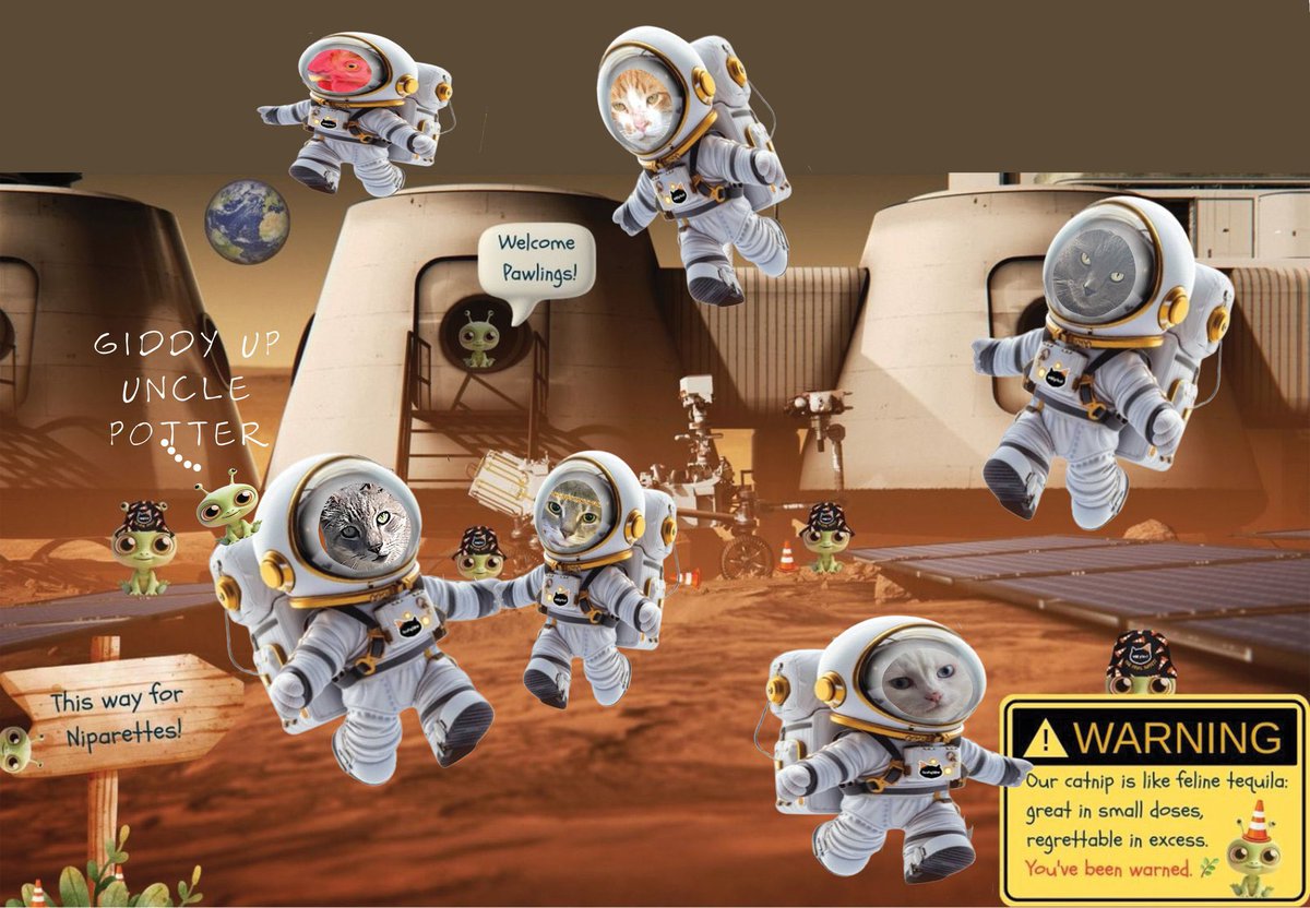 philduthie🌈⚽️🇺🇦🏴🏳️🌈 (@philduthie) on Twitter photo Ross and Cleo on Mars. 
#Nipfest2025 
<a href="/parsleysmum/">Ollie the Pappy & Cleo Kitty</a> Ross and Cleo on Mars. 
#Nipfest2025 
<a href="/parsleysmum/">Ollie the Pappy & Cleo Kitty</a>