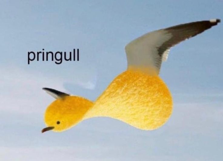 ︎ ︎ ︎ ︎ ︎ ︎ ︎