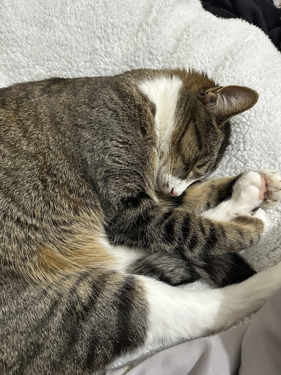 ਸਰਗੁਣ/ਵੀਰ (@hack3dbyawriter) on Twitter photo 