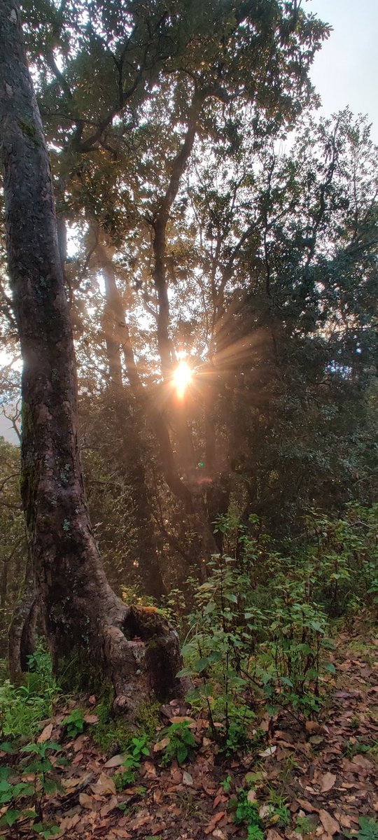 Champawat: a rainy evening! Hills look their best in rains!