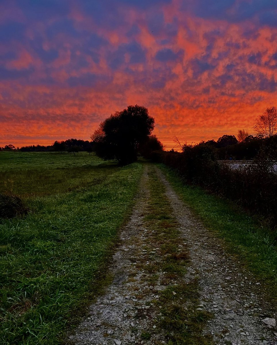 Paul E. Palacios tweet media