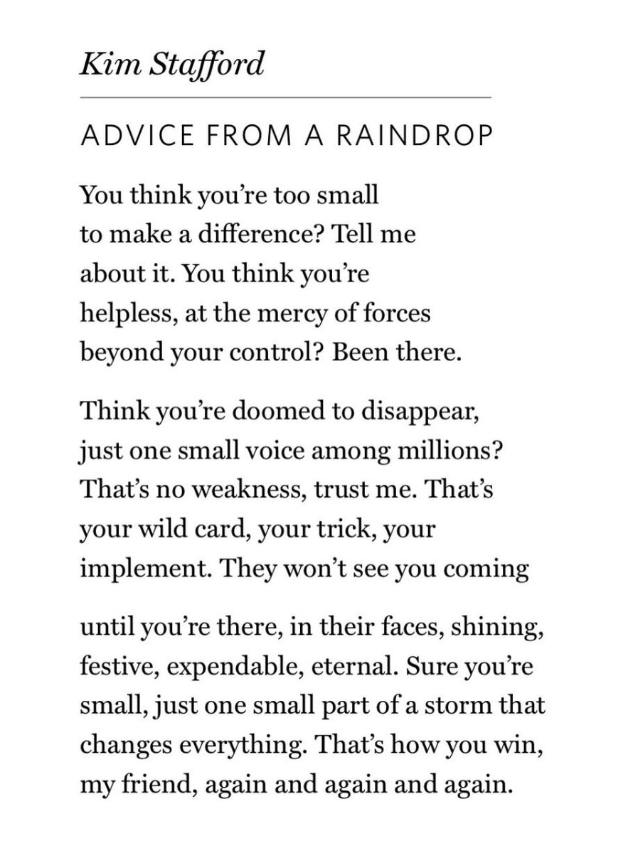 “they won't see you coming until you're there, in their faces, shining, festive, expendable, eternal.”