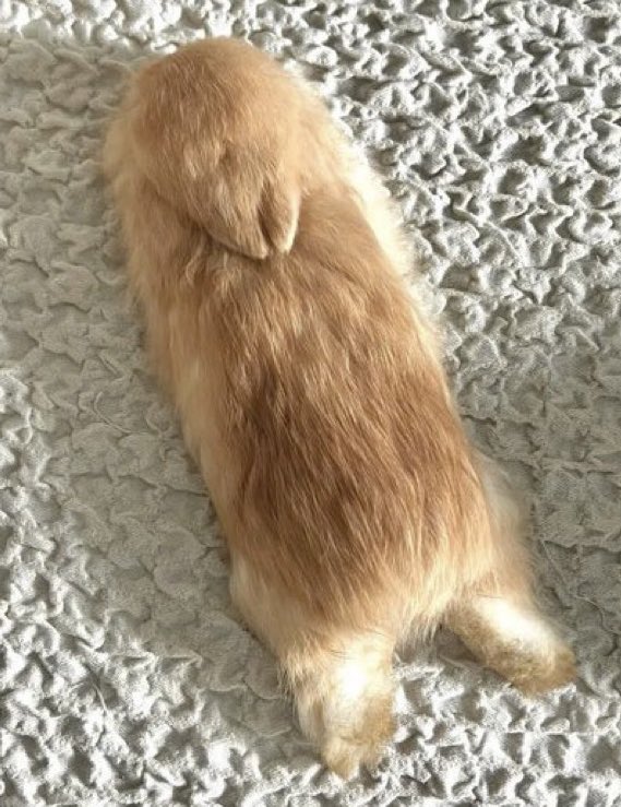 Bunnies's tweet photo. https://t.co/frTEXj4fNe