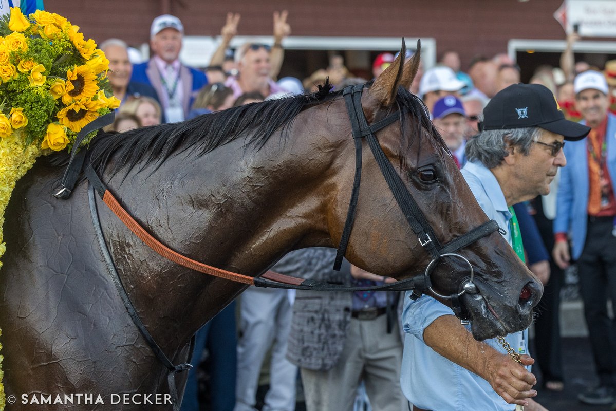 Samantha Decker (she/her) 📷 (@sdeckerphoto) on Twitter photo From yesterday's Travers day undercard: NJ-bred Book'em Danno does it again in the Grade I Forego Stakes with Paco López onboard for trainer Derek Ryan and owner Atlantic Six Racing.
Shot for the <a href="/saratogaspecial/">The Saratoga Special</a> From yesterday's Travers day undercard: NJ-bred Book'em Danno does it again in the Grade I Forego Stakes with Paco López onboard for trainer Derek Ryan and owner Atlantic Six Racing.
Shot for the <a href="/saratogaspecial/">The Saratoga Special</a>