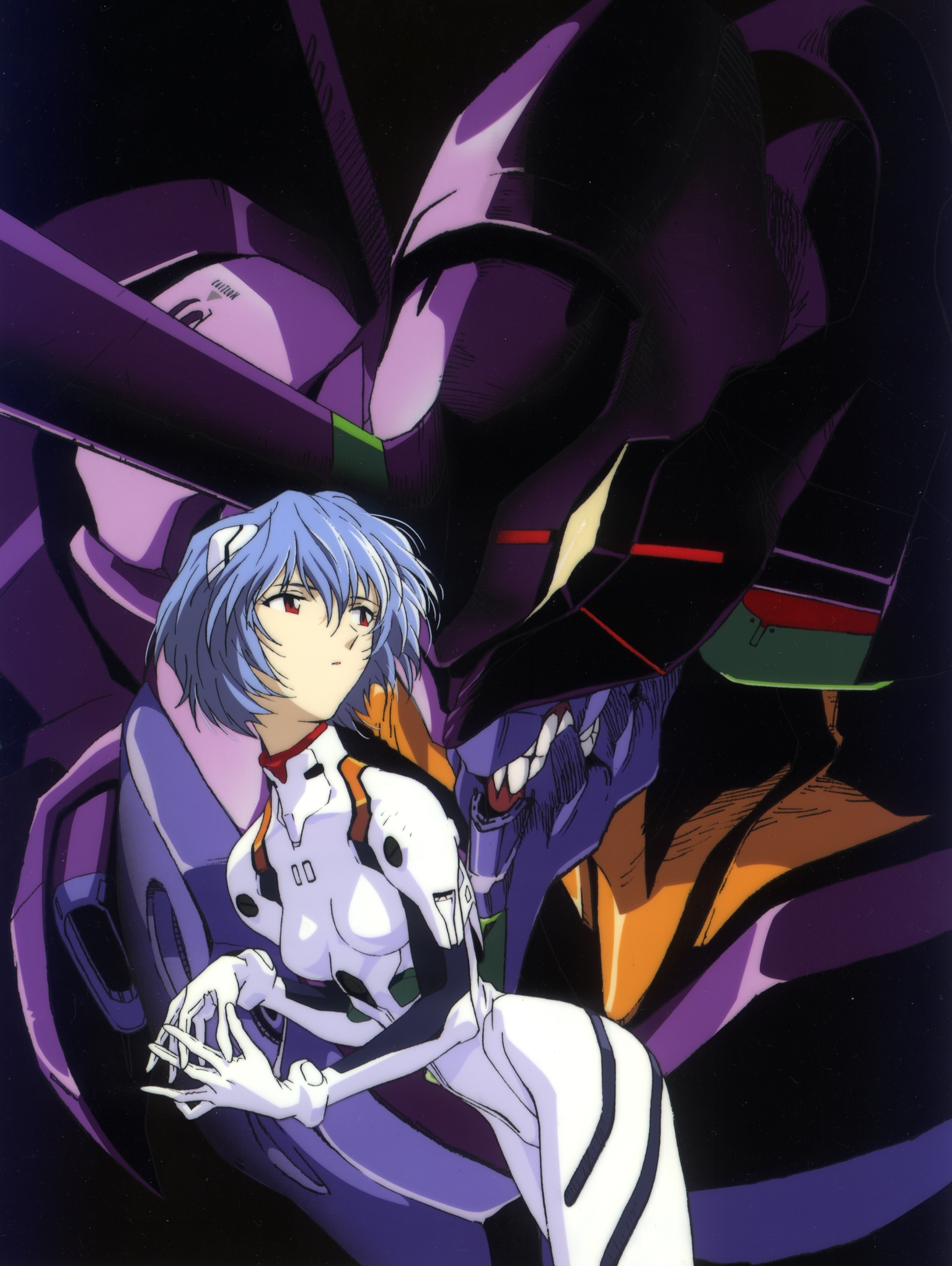 NEON GENESIS EVANGELION 4ディスク PC & Mac] NEON GENESIS EVANGELION COLLECTOR'S DISC Vol.4