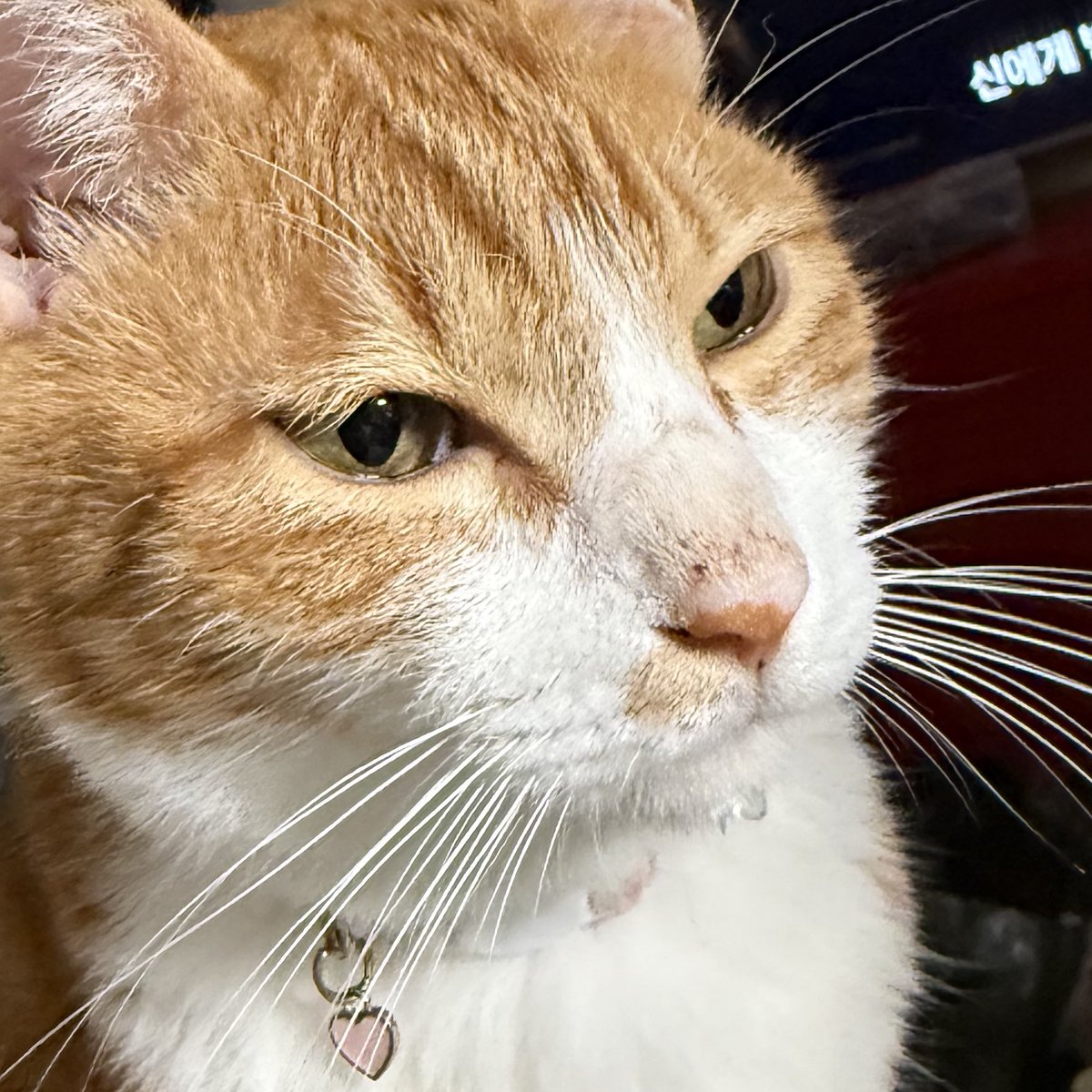 물 마시고 왔구나