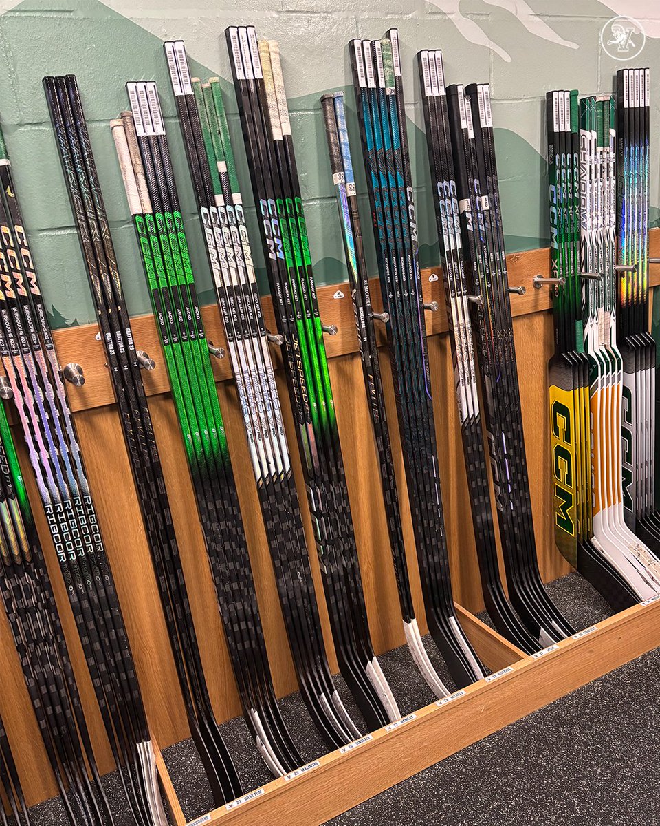 Back to School Shopping #802Hockey style.
