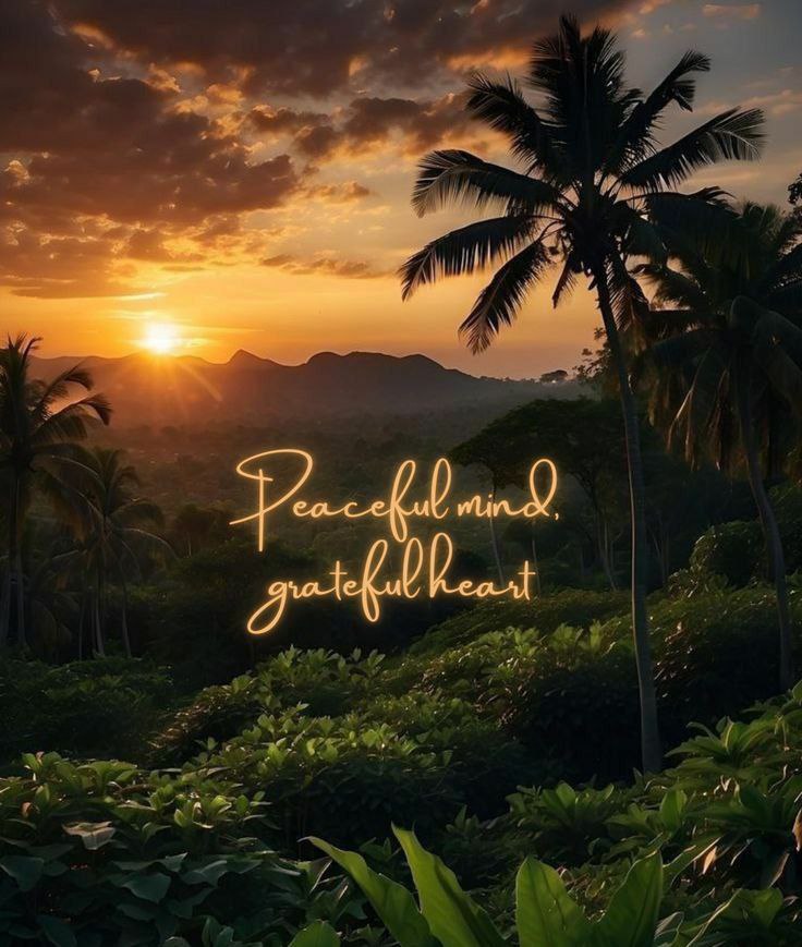 POSITIVITY (@positivitysaid) on Twitter photo 