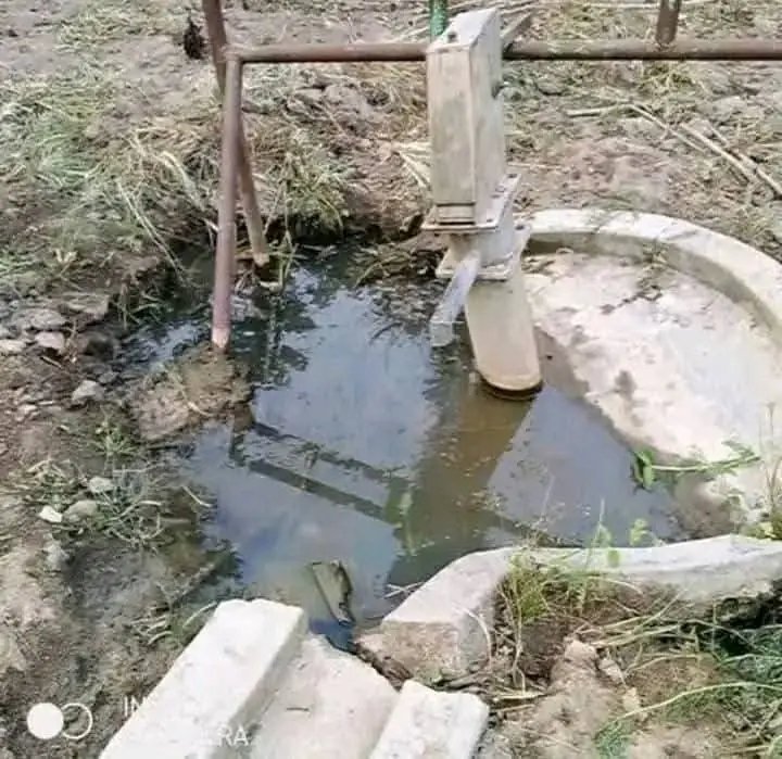 İbrahim manovic (@ibrahimmanovic) on Twitter photo 