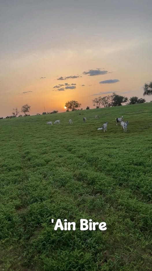 افضل منظر خريفي لهذه السنة من ضواحي تمبدغة