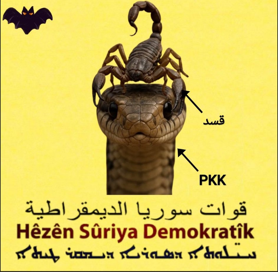 Samira Sulaiman (@samfreesyria777) on Twitter photo قسد لم تعترف حتى باتفاق السيد الرئيس احمد الشرع مع مظلوم عبدي فكيف لها ان تعترف بمجلس الشعب او المجلس التشريعي في المرحله هذه .
قسد لا تعترف باي جهود توحد سوريا ارضا وشعبا لأنها تعلم جيدا أنها ستفقد جميع الميزات وستفقد السرقات والفساد المالي والاداري وكذلك بسبب الممارسات السيئة قسد لم تعترف حتى باتفاق السيد الرئيس احمد الشرع مع مظلوم عبدي فكيف لها ان تعترف بمجلس الشعب او المجلس التشريعي في المرحله هذه .
قسد لا تعترف باي جهود توحد سوريا ارضا وشعبا لأنها تعلم جيدا أنها ستفقد جميع الميزات وستفقد السرقات والفساد المالي والاداري وكذلك بسبب الممارسات السيئة