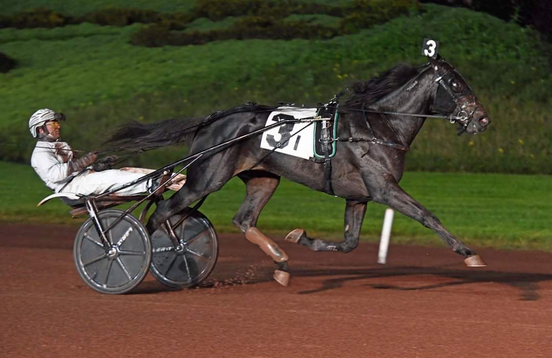 Summermusic night S #TacticalLanding won the Deutsches Traber Derby 🏆