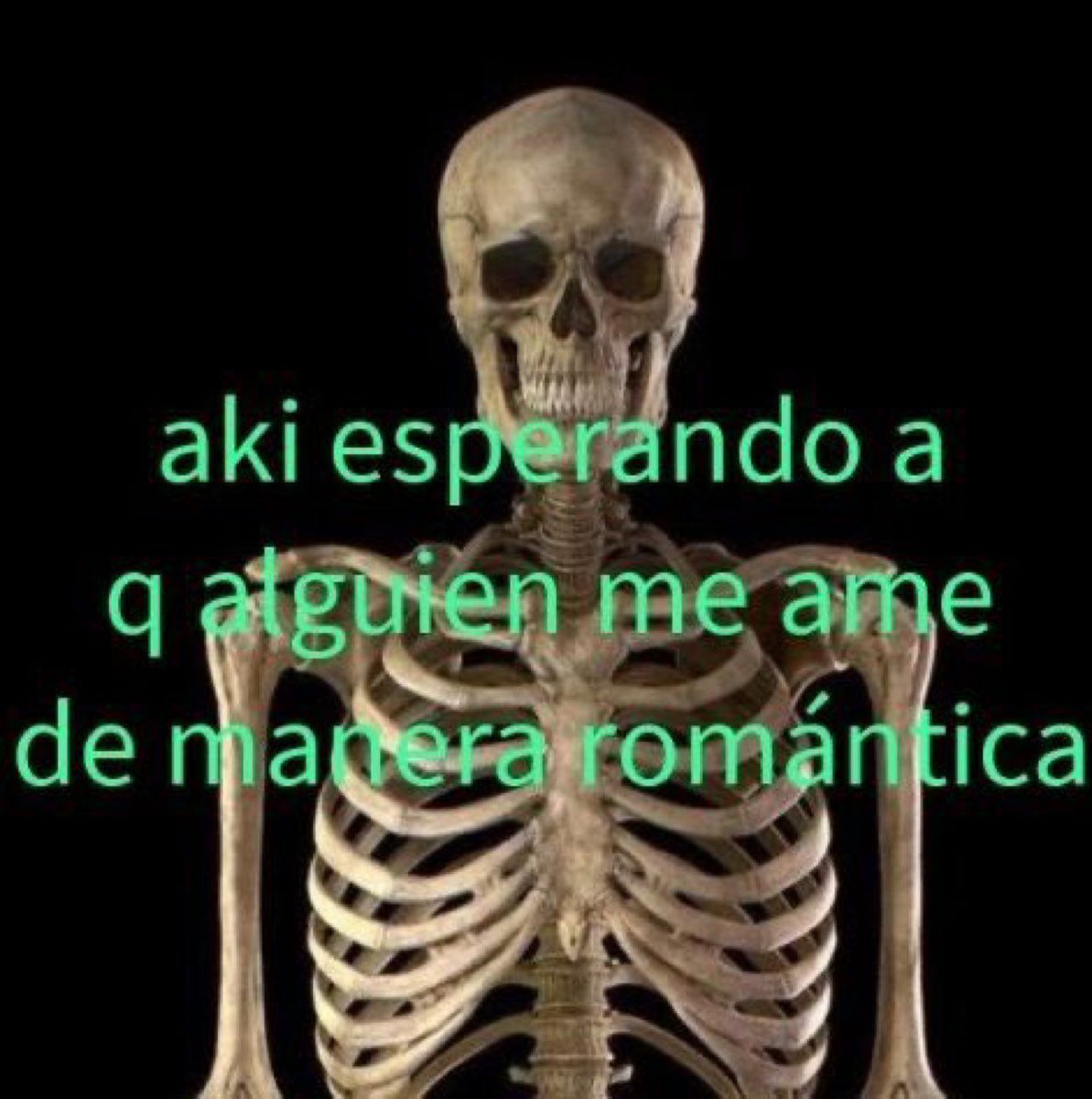 chincheto pirata somali (@wikipistacho) on Twitter photo 