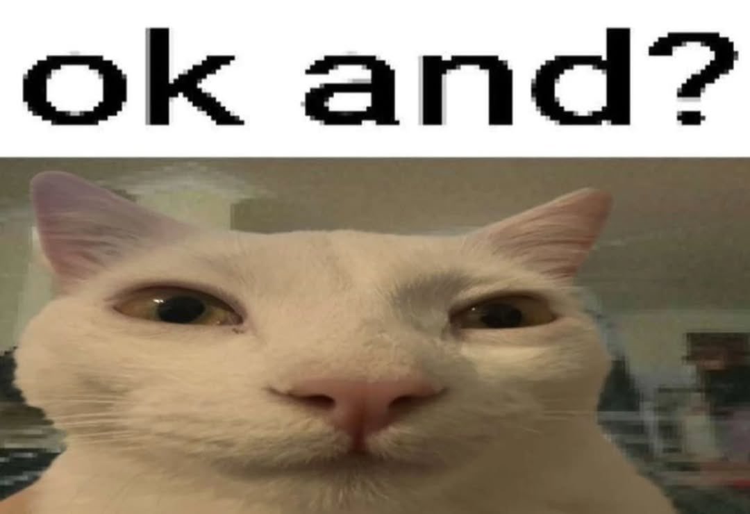 literallymecats's tweet image. 