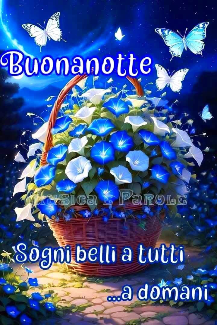 RITABIANCHi56 tweet media