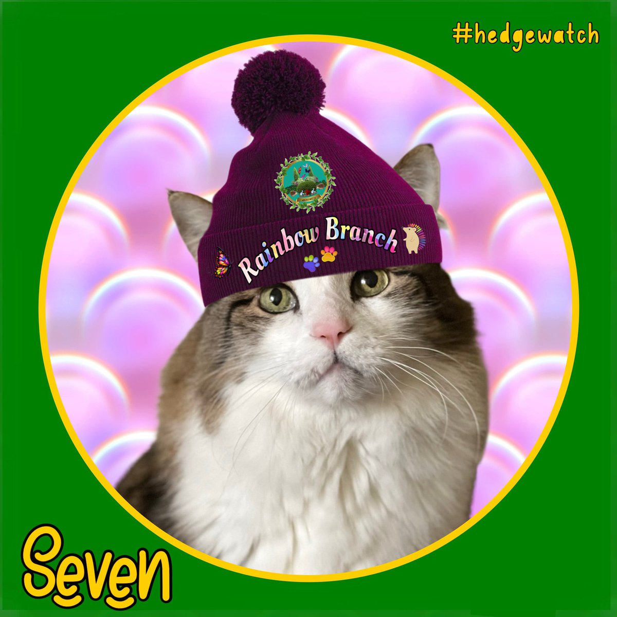 I am ready too for the #AngelKittyConcert #Nipfest2025