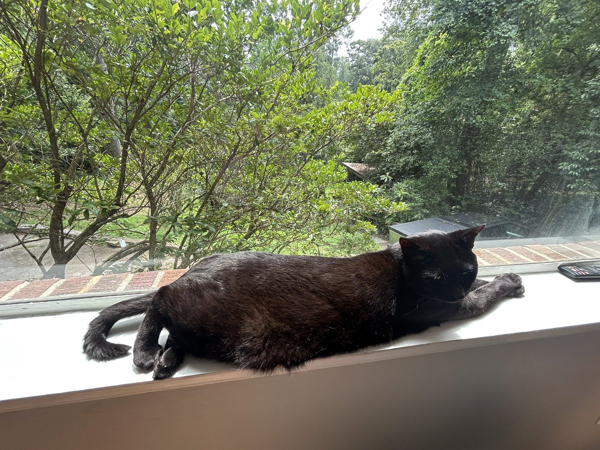 dale cooper tweet media