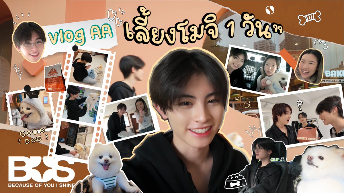 วันนี้ 1 ทุ่มตรงมาดูกันว่า 1 วันของ #AAashirakorn กับการเลี้ยงโมจิจะเป็นยังไงบ้าง ที่ YouTube: BUS because of you i shine นะค้าบบ✨

#BUSbecauseofyouishine