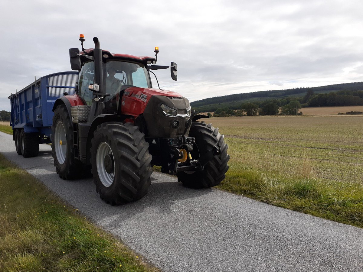 Steven Stratherrick (@stevenw24515280) on Twitter photo Carse fields at #Munlochy today with direct sown neeps showing through on oil seed stubble. Carse fields at #Munlochy today with direct sown neeps showing through on oil seed stubble.