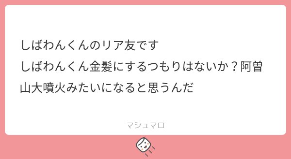 #SSSiva ありがとうございました‼️今週のお気に入りマロはこちら🔽金髪になるのかなぁ