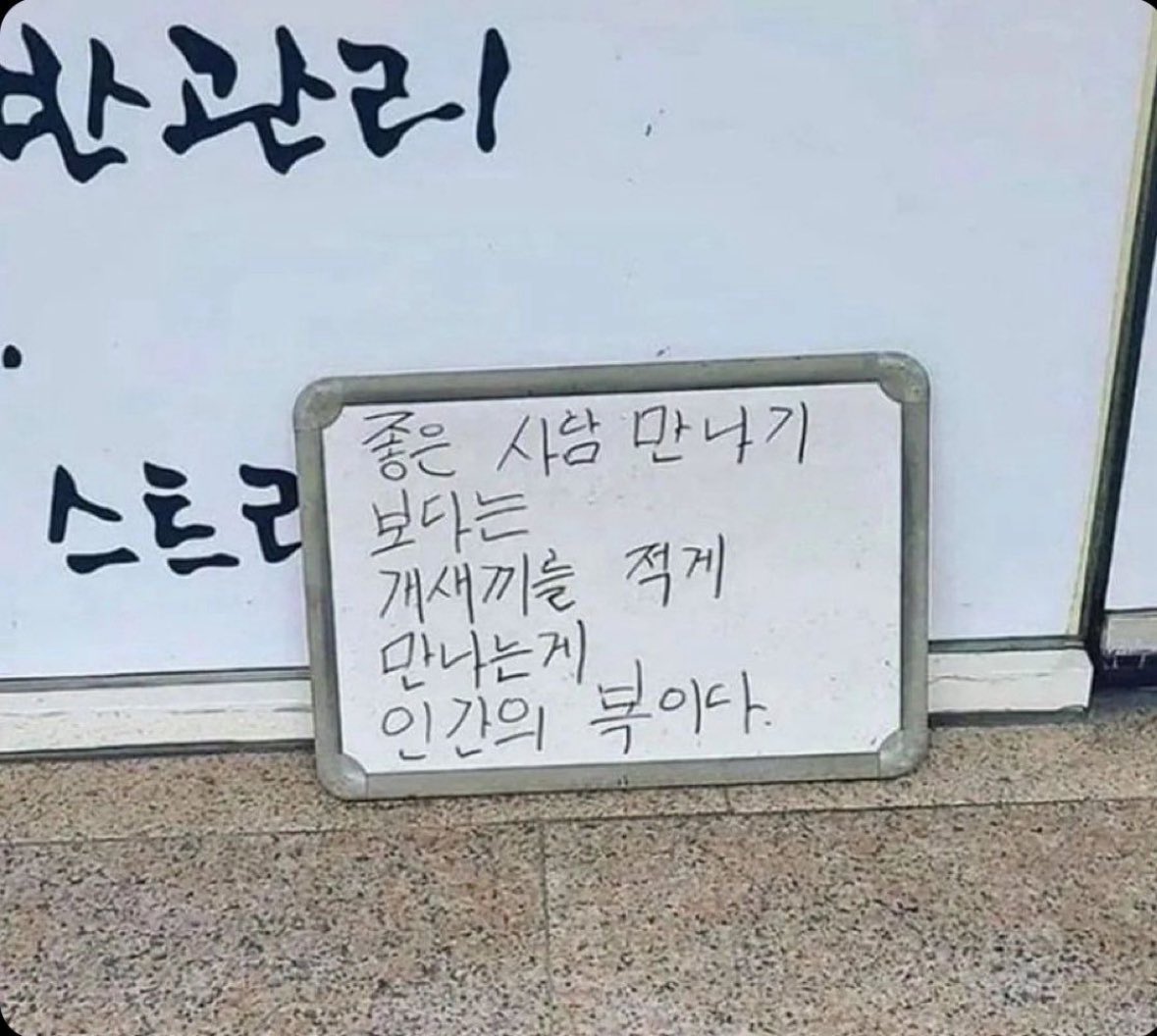 그란데 연하는 형을 만났으니 심지어 그 형이 너무 아껴주잖아 이게 보통 복이냐고