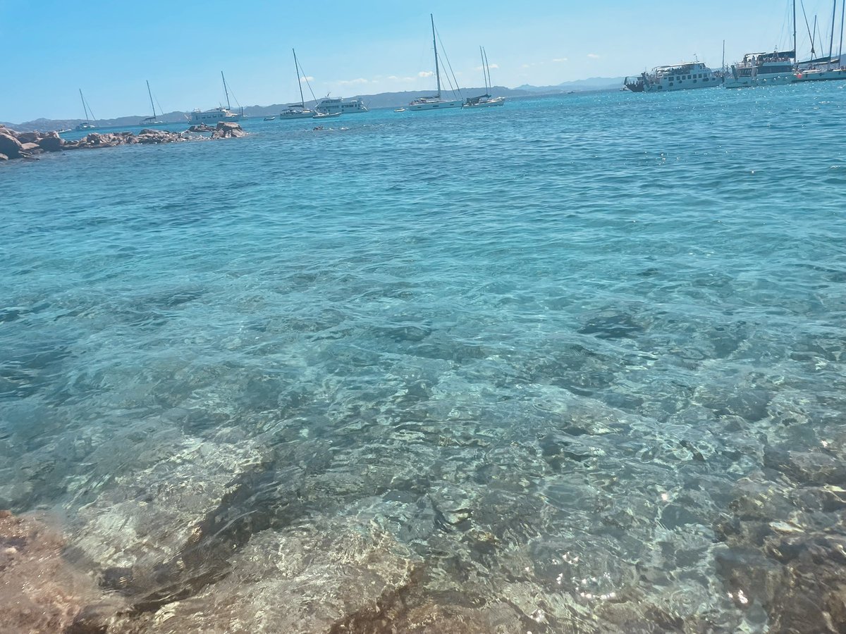 FranMoreno92's tweet image. Il paradiso #isola #Maddalena #Spargi #Budelli #Santa #Maria