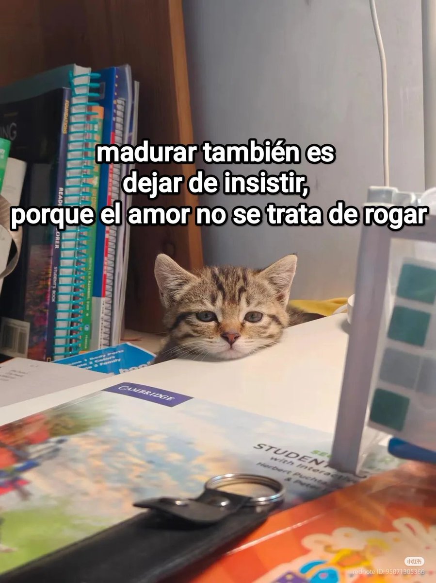 This Charming Cap (@briagowsky) on Twitter photo 