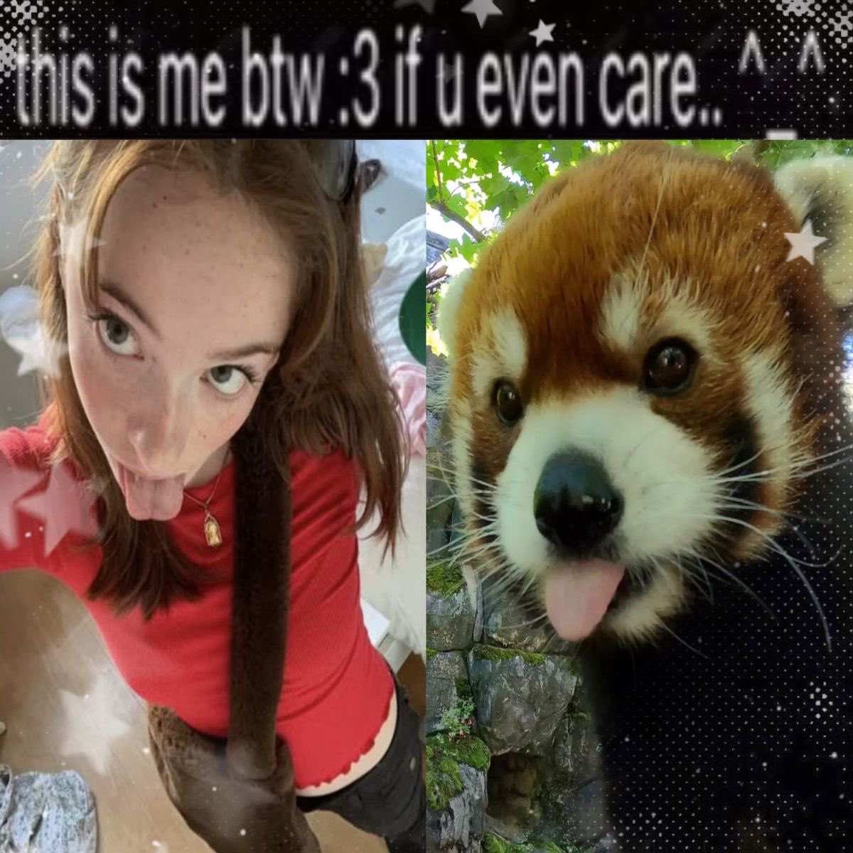 #alisonsimms ☀️🏹