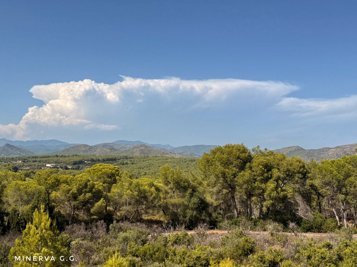 Minerva GG (@minervagra) on Twitter photo Sagunto, mirando hacia Castellón. Imagino q será lo de Mosqueruela, Villafranca del Cid y toda esa zona. <a href="/apuntoratge/">À Punt Oratge</a> <a href="/AEMET_CValencia/">AEMET Comunitat Valenciana</a> <a href="/avamet/">AVAMET</a> <a href="/MeteoMorella/">Juan Amela</a> <a href="/Valencia_WX/">ValènciaWeather⚡️</a> Sagunto, mirando hacia Castellón. Imagino q será lo de Mosqueruela, Villafranca del Cid y toda esa zona. <a href="/apuntoratge/">À Punt Oratge</a> <a href="/AEMET_CValencia/">AEMET Comunitat Valenciana</a> <a href="/avamet/">AVAMET</a> <a href="/MeteoMorella/">Juan Amela</a> <a href="/Valencia_WX/">ValènciaWeather⚡️</a>
