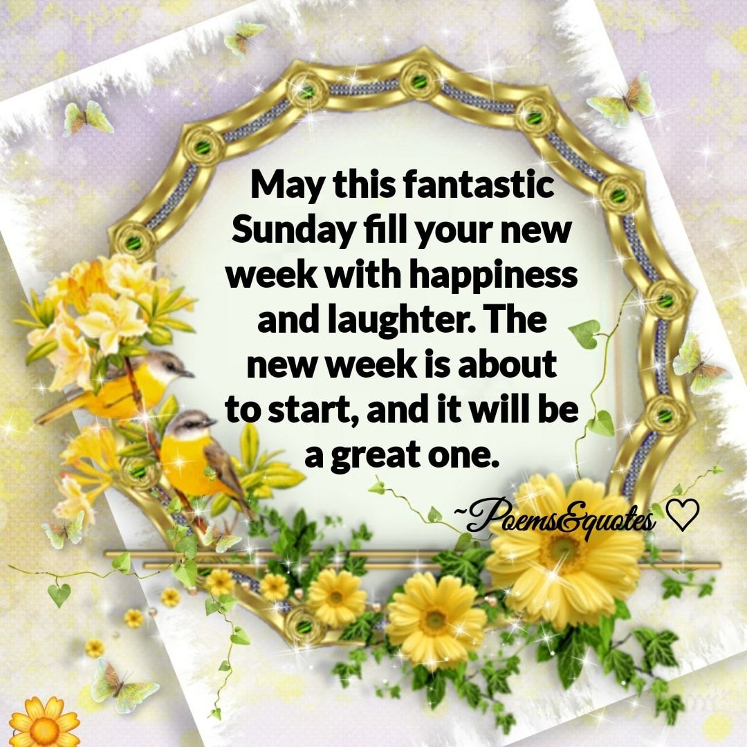 <a href="/KVajpayaee/">KATYAYAN VAJPAYEE</a> Greetings my friend KV!
Wishing you a #BlessSunday and most #Peaceful and #Productive #NewWeek

#NewWeek
#Blessings 
#Katyayan
#Sunday 
#Peace

🙂🙏🏾🕊️🌺♥️💯