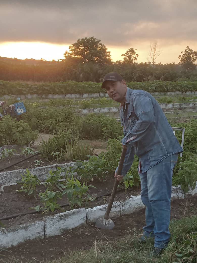 Sil4464Silva's tweet photo. En la finca #13 de #ESPROT, la tierra cobra vida con la siembra de hortalizas: Trabajo diario que alimenta al pueblo y fortalece la soberanía alimentaria. ¡Orgullo espirituano! # @EsprotSancti no detiene la marcha. #SanctiSpíritusEnMarcha https://t.co/WDebOVbCZr