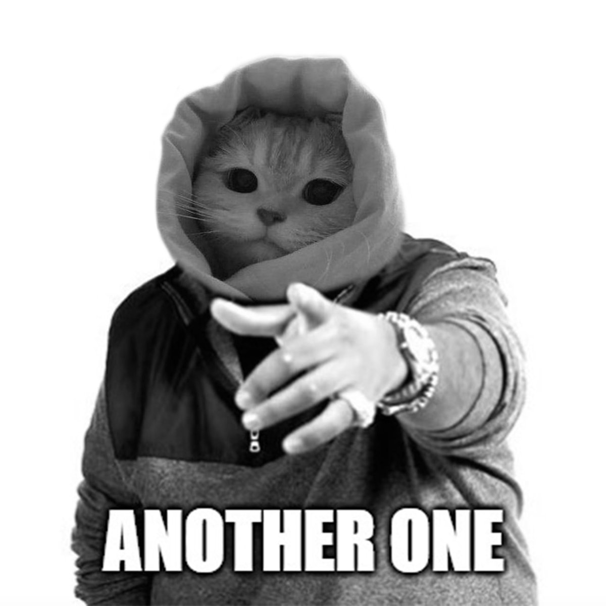 Another day another $GM