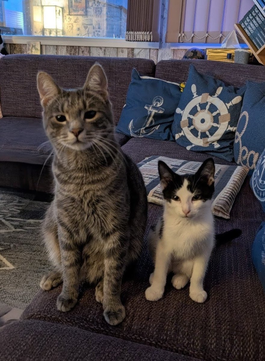 NeoLoki82's tweet image. Willow and Buffy @SPBauthor @NeilInHe