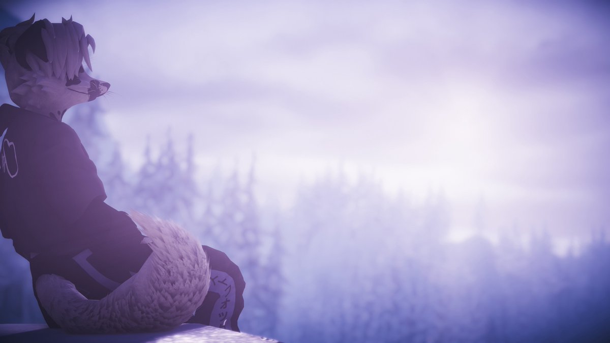 Been thinking of taking on a few photoshoots (no comms, no money, NSFW ok)

Respond/DM if youre interested. 

All i ask for is patience and credit ^^

Photos below:
<a href="/Nappz_OwO/">Nappz ナップズ 🔜 NFC</a> 
<a href="/kota_vf/">Kota</a> 
<a href="/ad_fennec/">JackFennecAD</a> 
<a href="/ContigoVR/">ContigoVR</a>