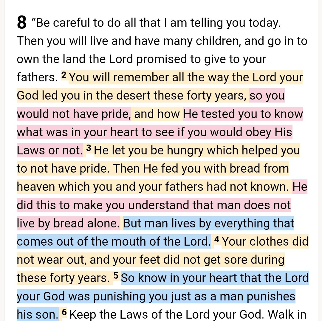 copro_14's tweet photo. Ask anything and it will be given to you but just if you commit and trust with all your heart and accept Jesus Christ and the Holy Spirit to your life. Let do His ways not your ways. 

The God from the past, present and future is still the same 🤍

Deuteronomy 8:2-5 https://t.co/J6Wc23s7Ri