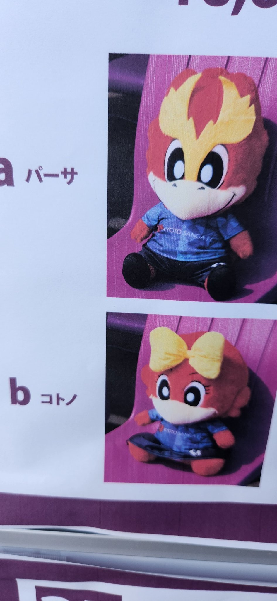 BIGぬいぐるみ　京都サンガ　パーサくんコトノちゃん パーサくんコトノちゃんBIGぬいぐるみ – SANGA LIFE LAB.