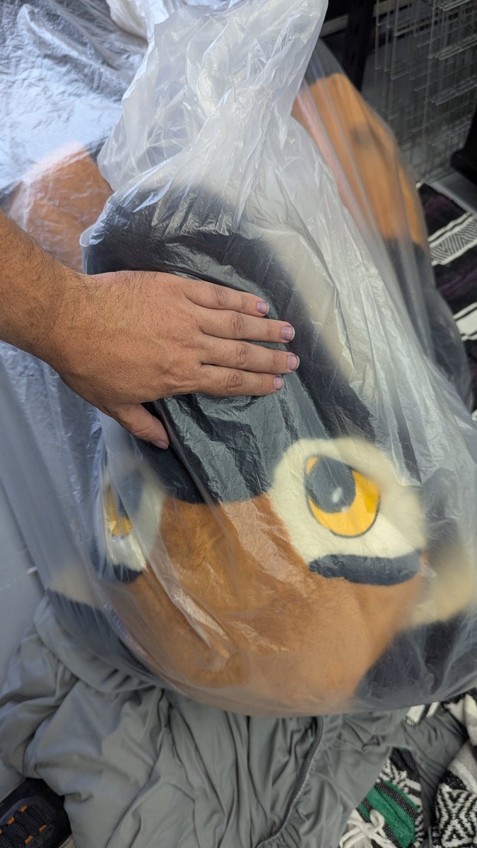 PoolToyParty @ACFI tweet media