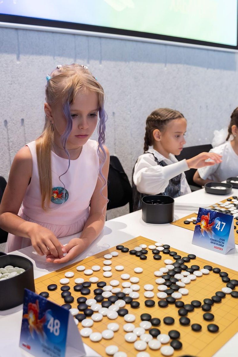 III Кубок Генерального Консульства по вэйци в Хабаровске.