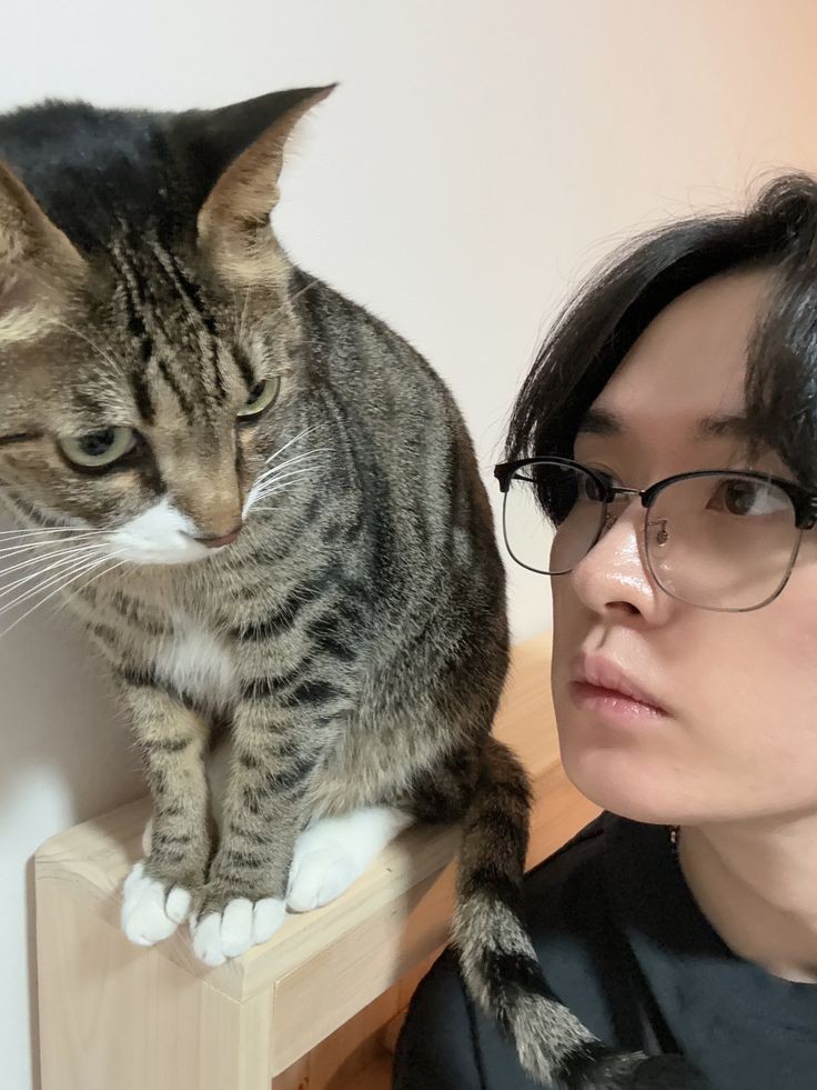 alex ☯︎ 𝔦𝔫 𝔶𝔬𝔲𝔯 𝔣𝔞𝔫𝔱𝔞𝔰𝔶 (@linosfriedracha) on Twitter photo two cats who love their cats
#SSD #StaySelcaDay #리노 #LeeKnow #스트레이키즈 #StrayKids <a href="/Stray_Kids/">Stray Kids</a> two cats who love their cats
#SSD #StaySelcaDay #리노 #LeeKnow #스트레이키즈 #StrayKids <a href="/Stray_Kids/">Stray Kids</a>